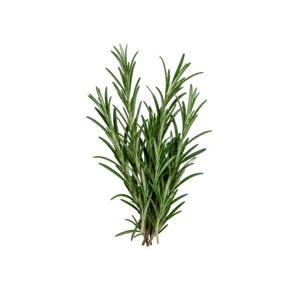 ROMARIN